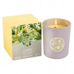 Citrus Flower Perfumed Candle