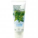 Intensive Moisture Mask Botanical Hydration