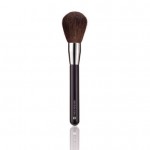 Powder Brush